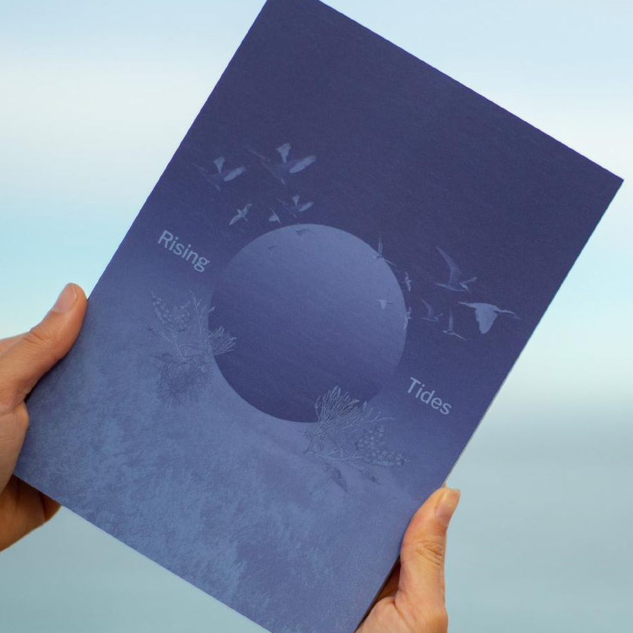 Rising Tides: Edited Book of Designs book thumbnail