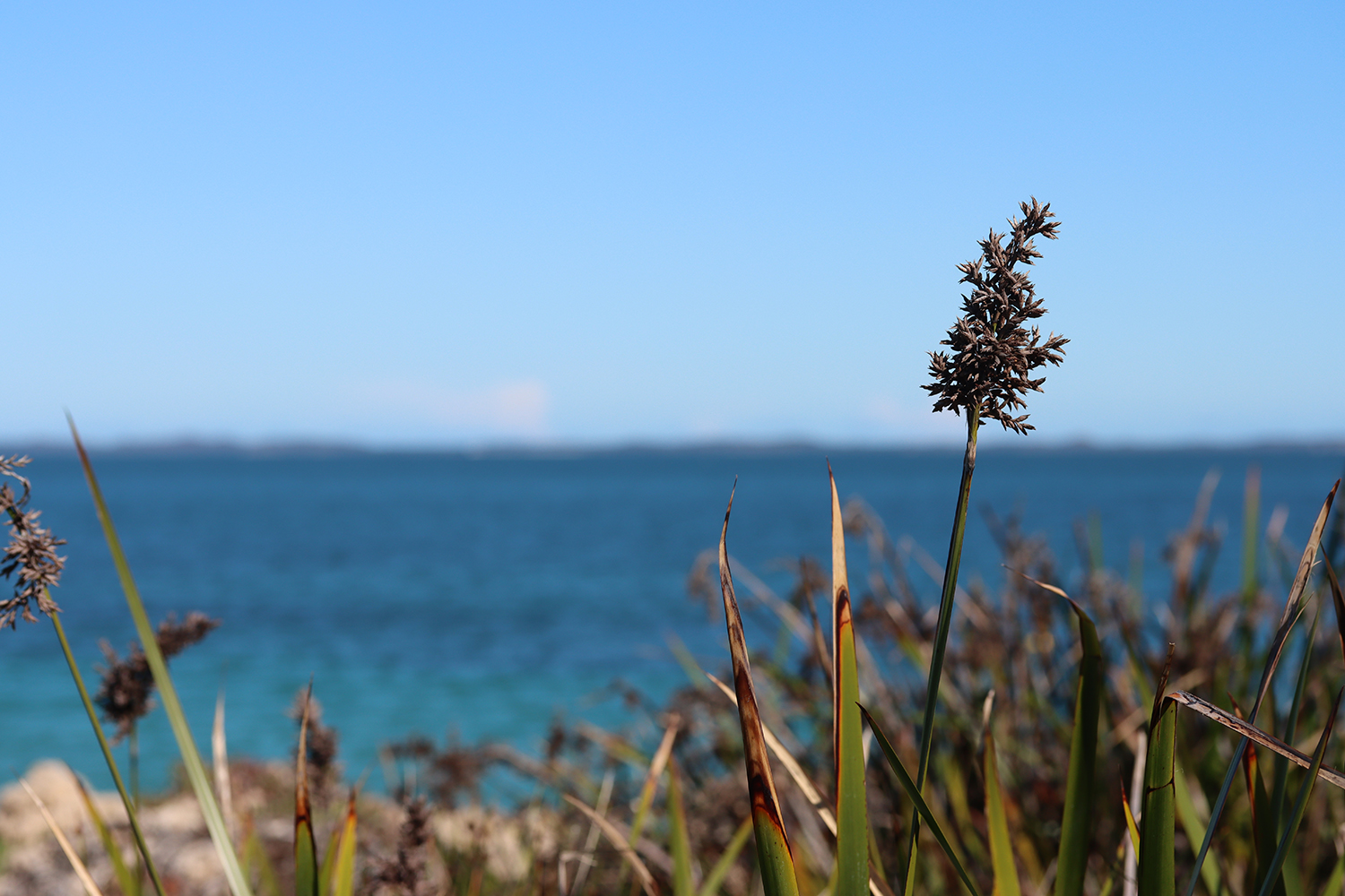 Cockburn Place thumbnail