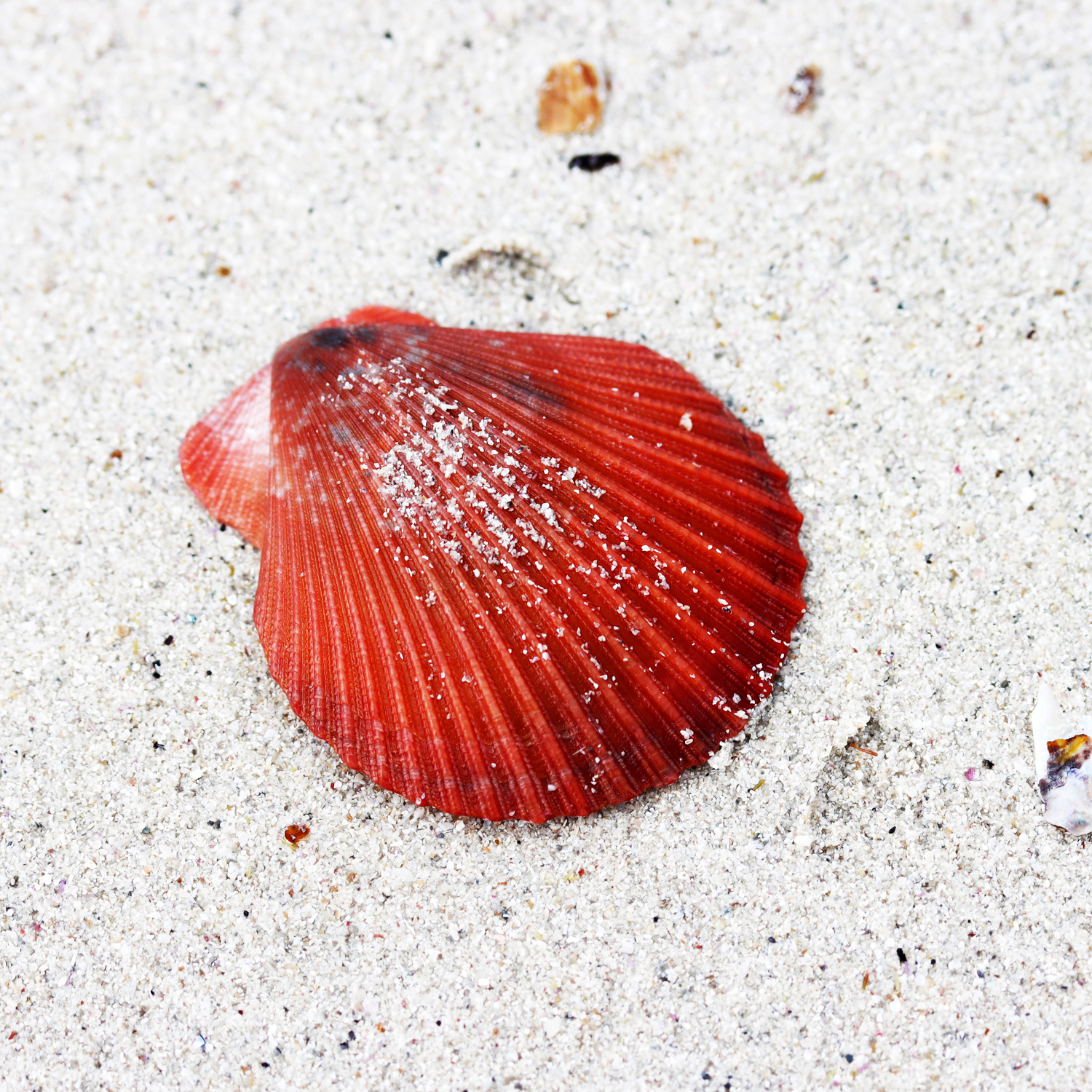 Binalup Place thumbnail